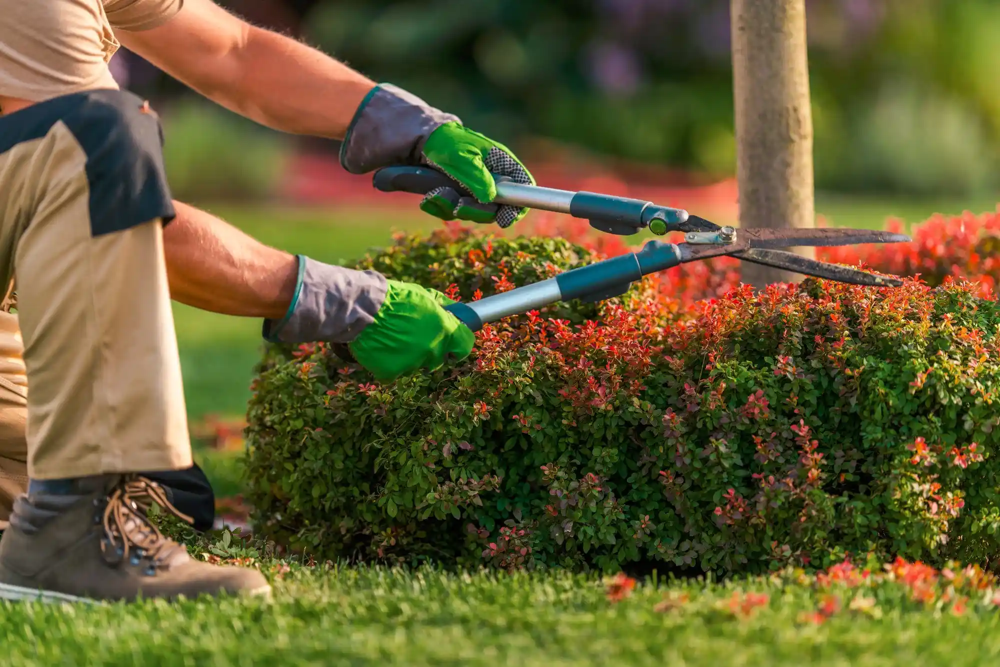 Top-rated lawn care service experts serving Yoakum, TX - Cf Improvements