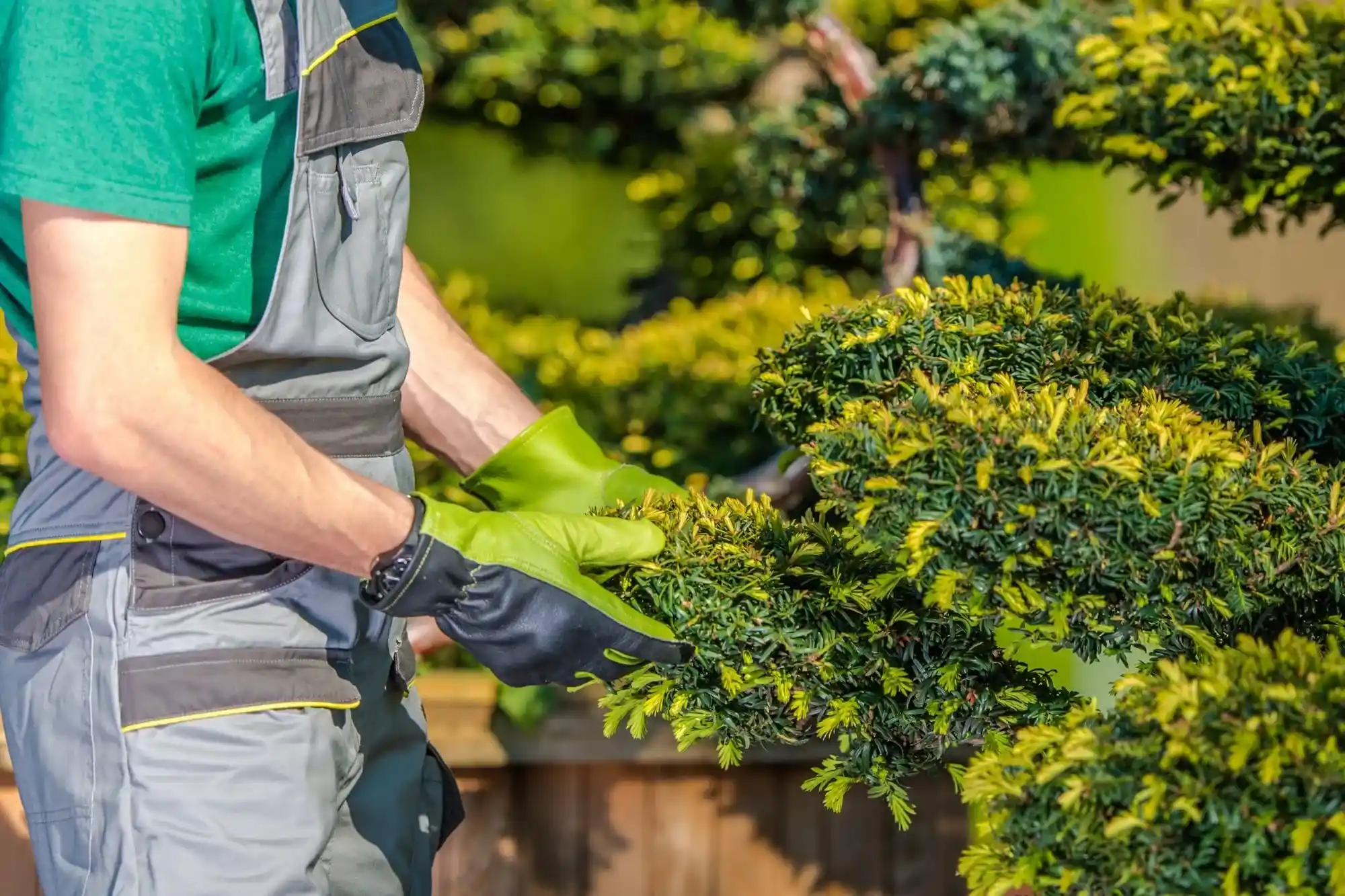 Affordable landscaping services in Yoakum, TX - Cf Improvements